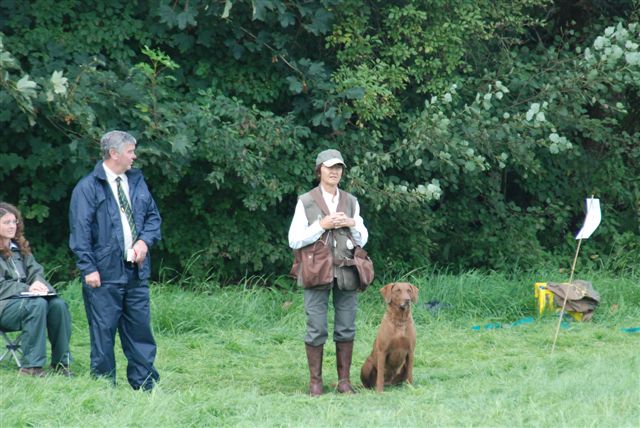 Mattaponi's Chesapeake Bay Retriever | Dual Purpose Retriever Kennel in ...